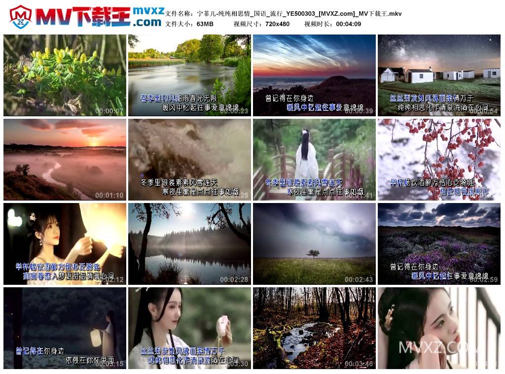 宁菲儿-纯纯相思情_国语_流行_YE500303
